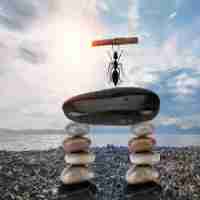 web安‍全‍的‌目﻿标﻿是‌什​么‌,如‌何‍实‍现‍